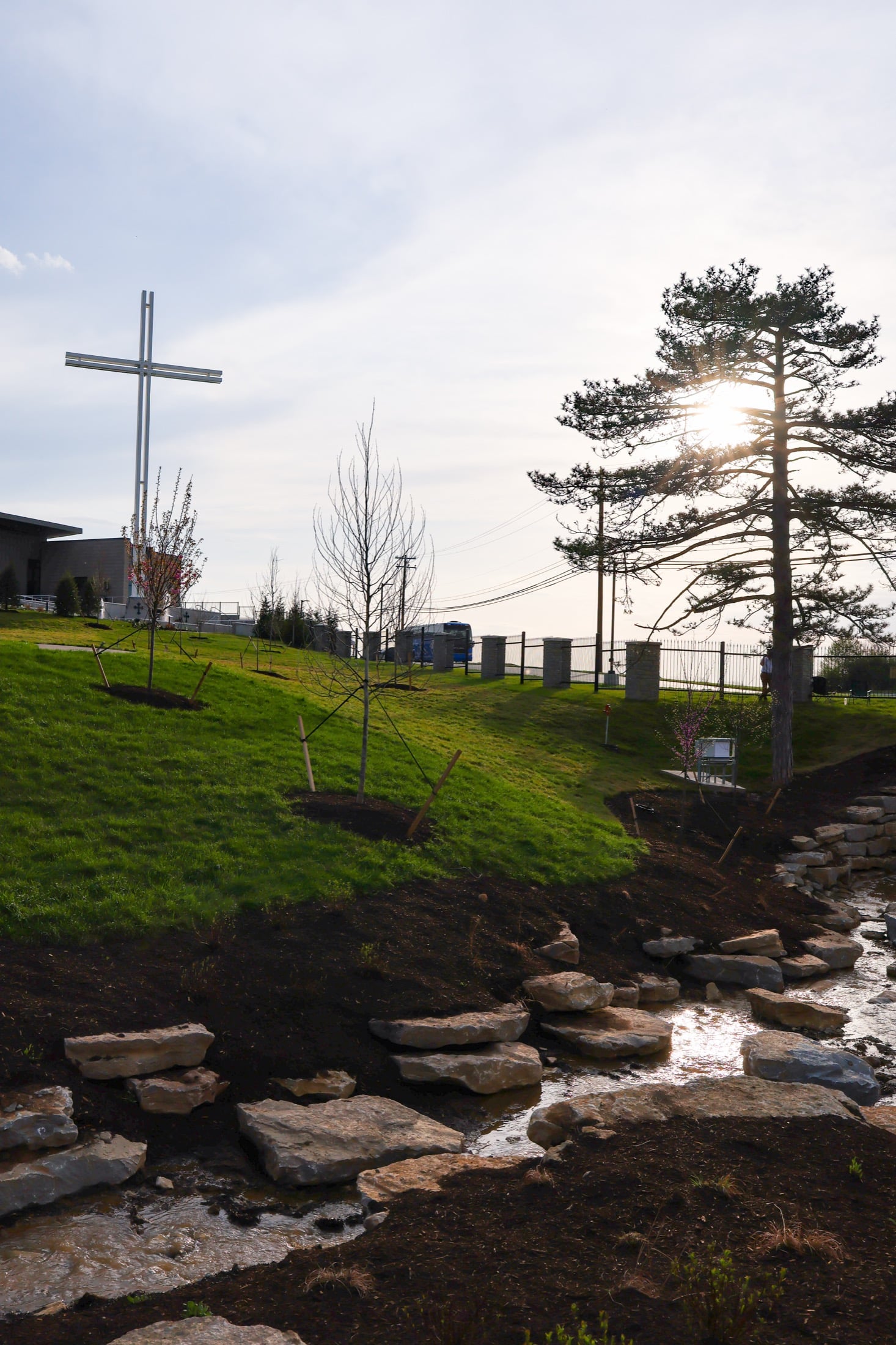 A small memorial cross and newly planted trees beside a stream, lit by golden-hour light.